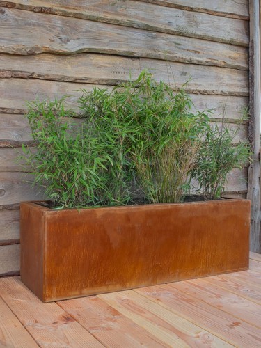 Multi edge flora - flora, planter